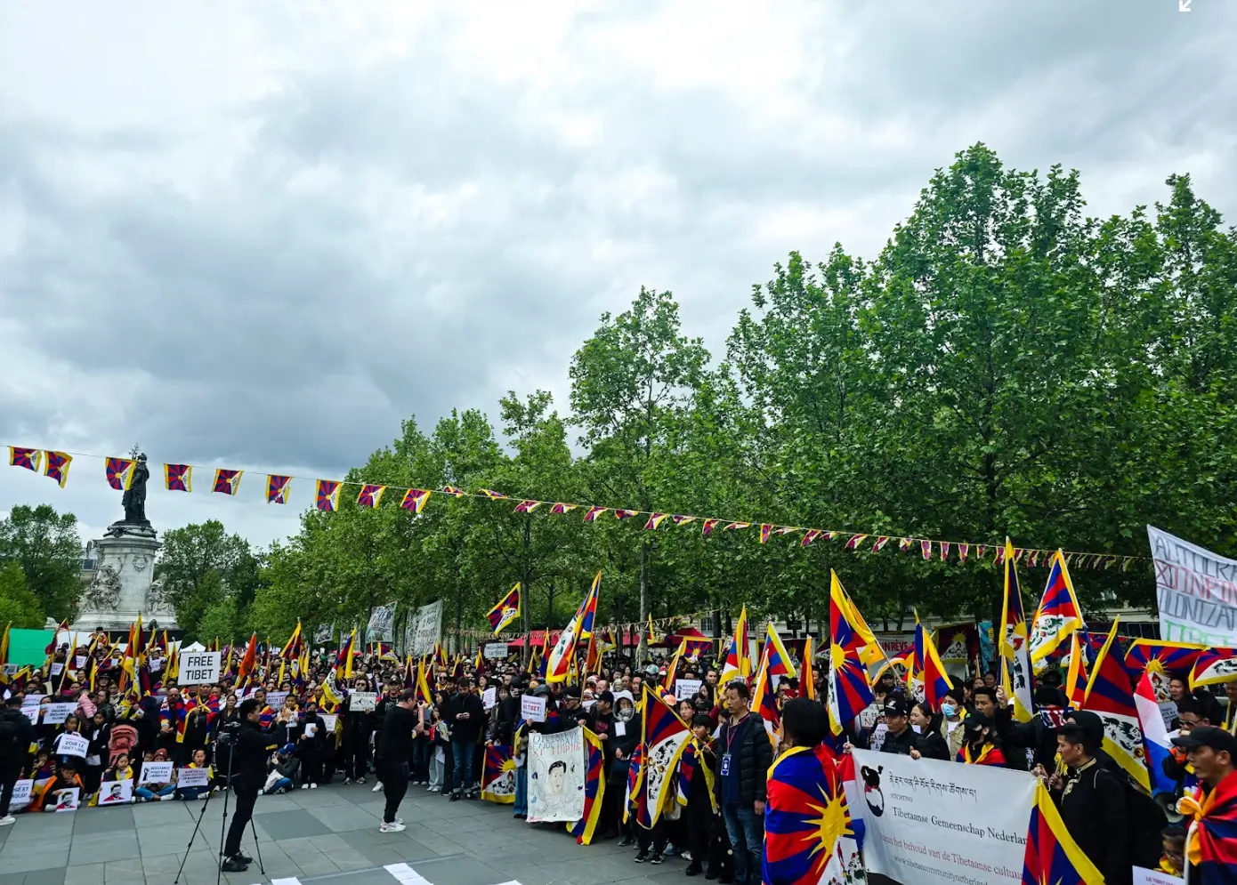 Constitutional & Human Rights