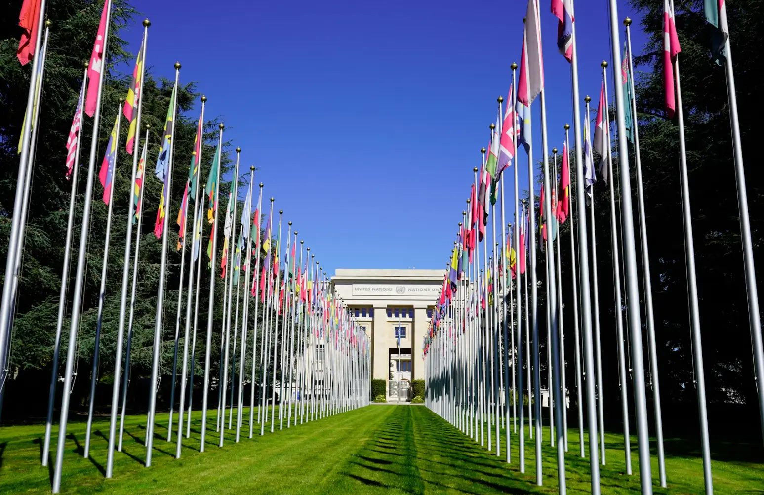 International & Humanitarian Law at OLC