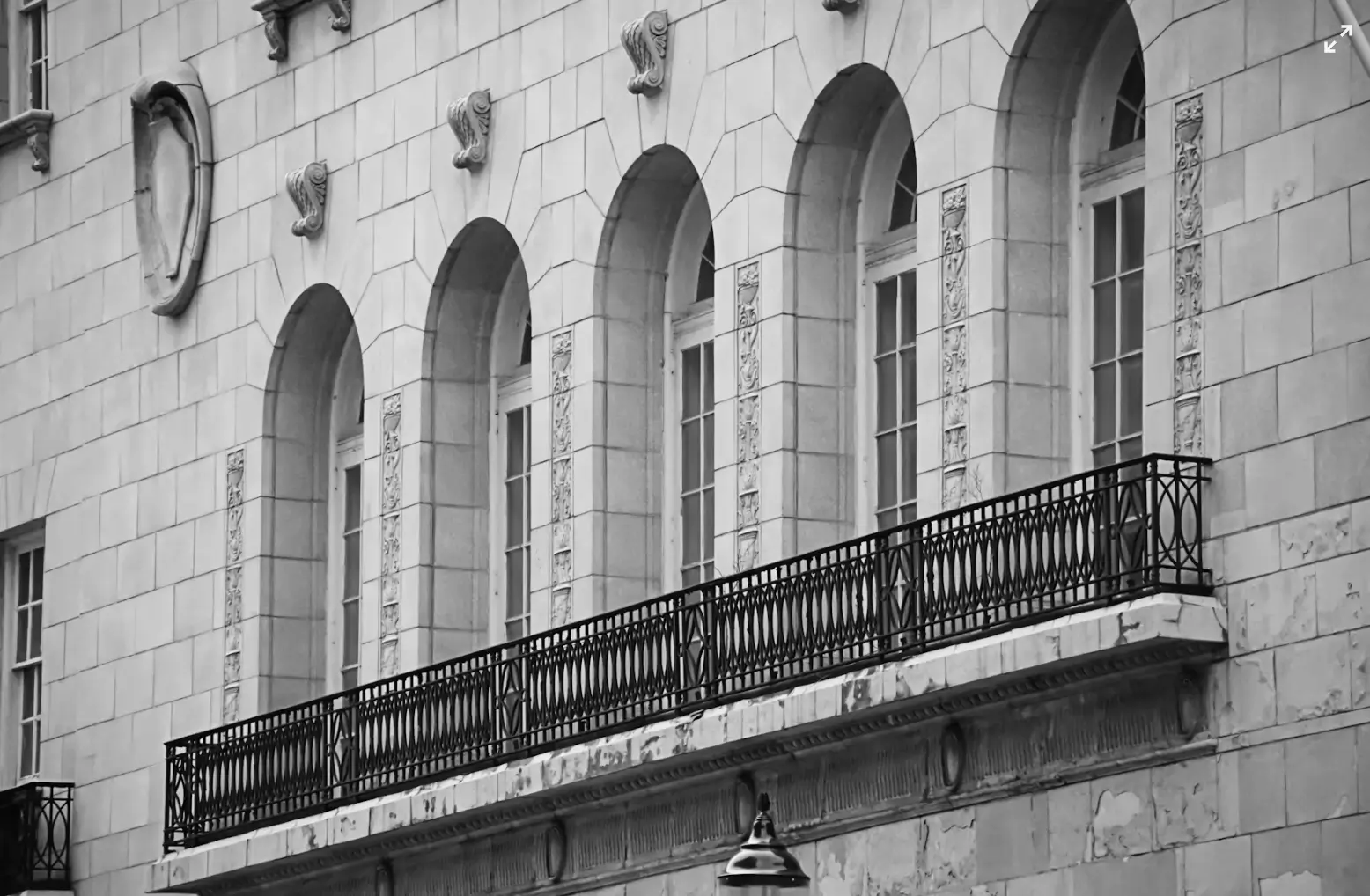 Intellectual Property Law